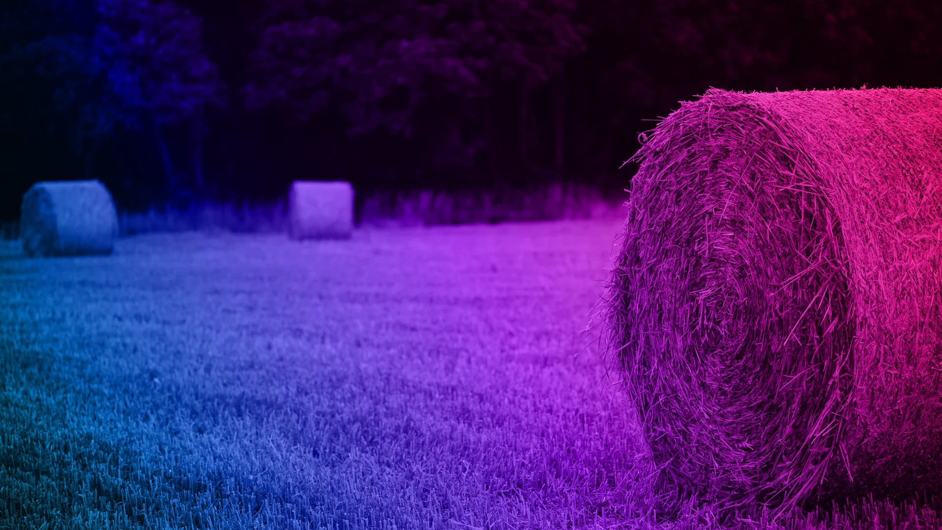 Software Development for Agriculture Startups