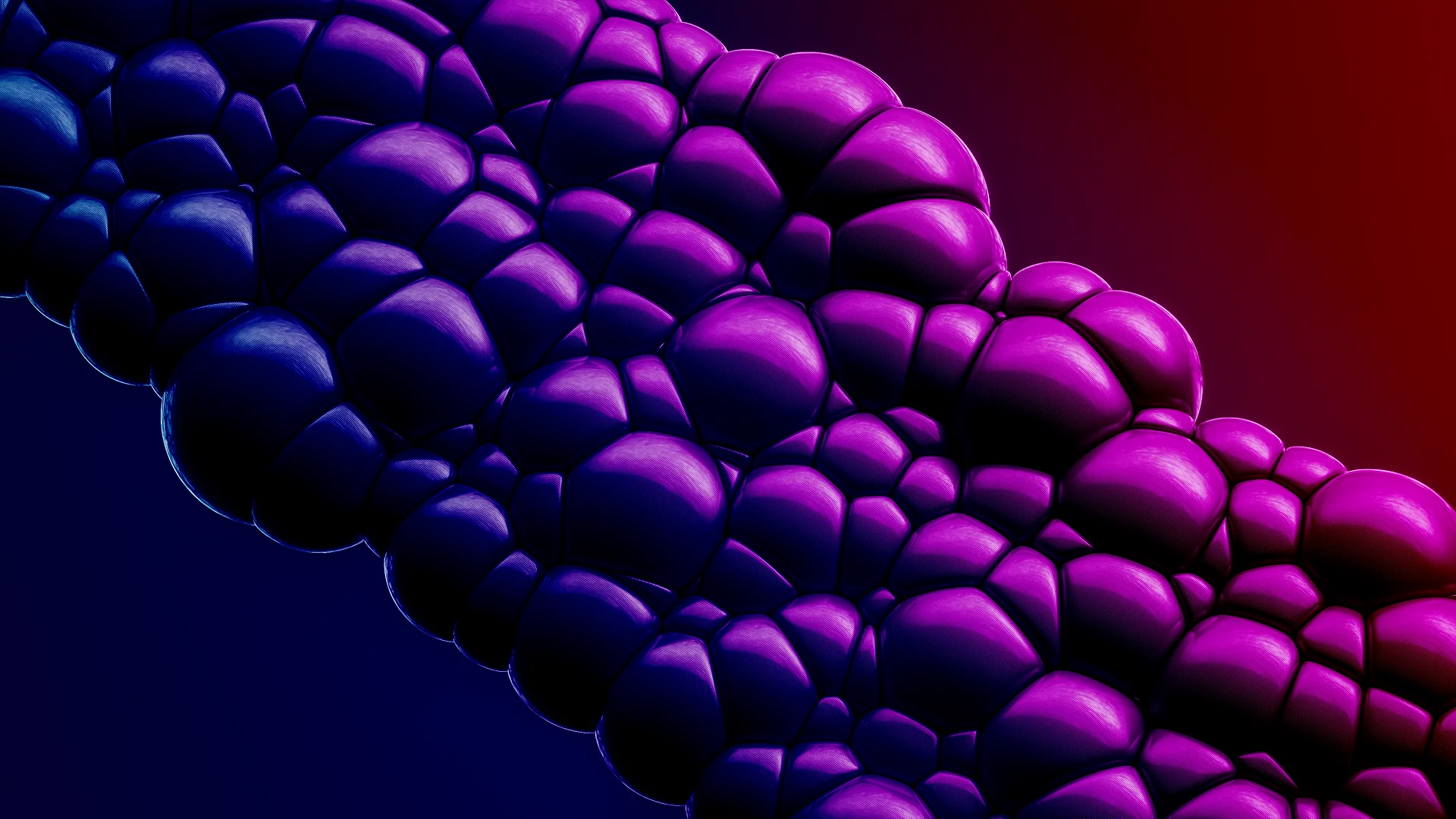 Software Development in Chicago